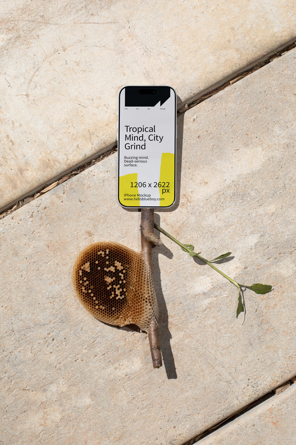 iPhone mockup lying on concrete plates with a wooden stick and honeycomb.